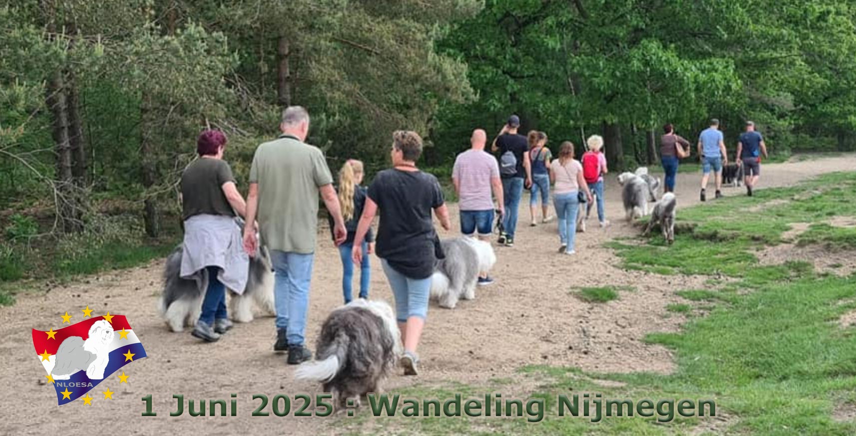 Wandeling Oost NL