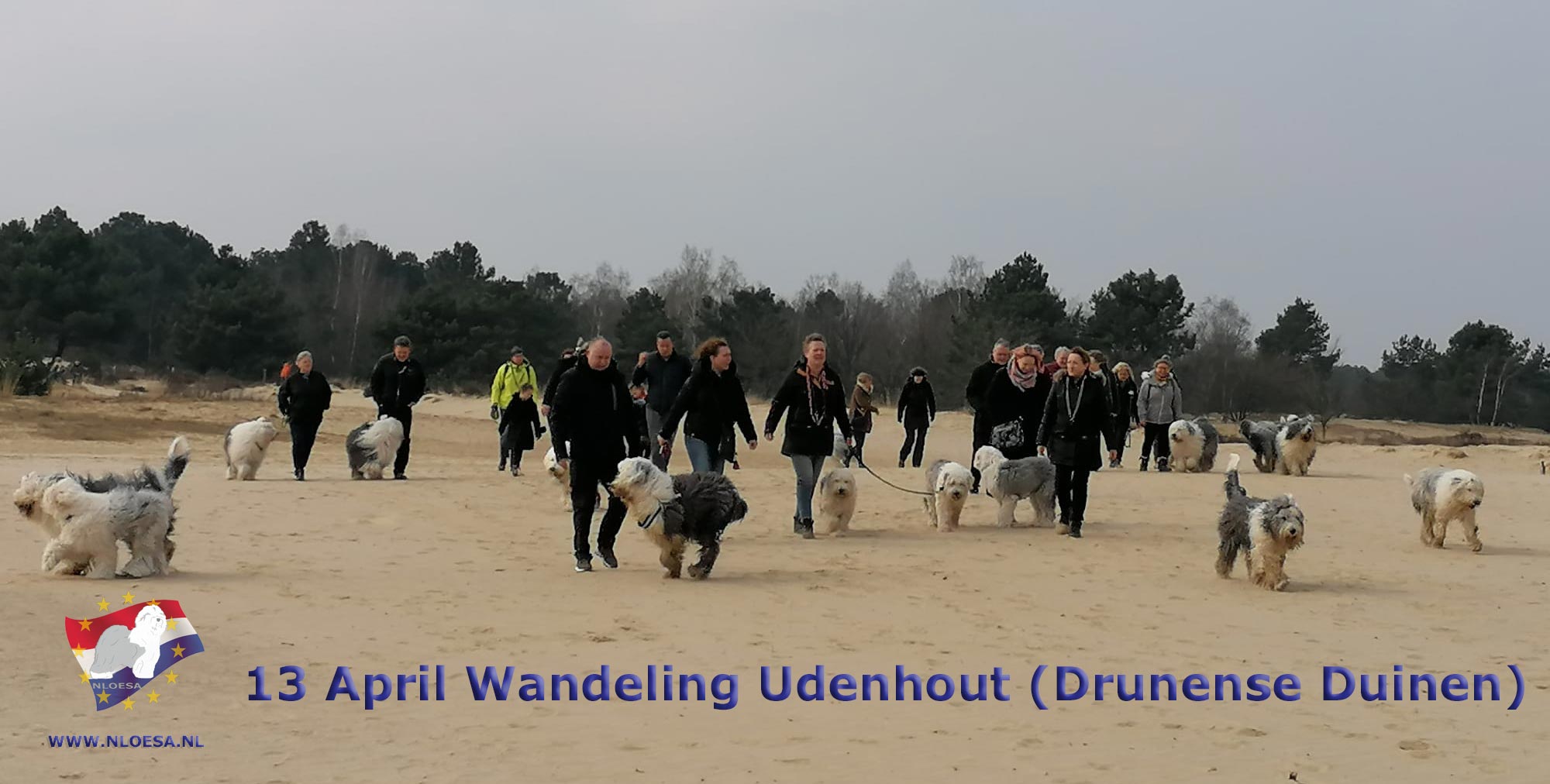 Drunense Duinen